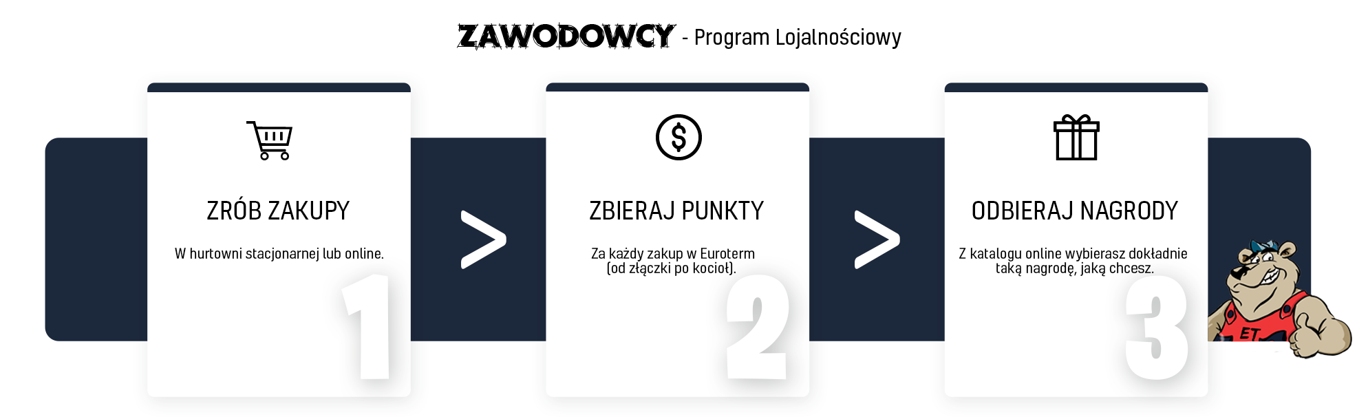 Program lojalnościowy ZAWODOWCY - Jak to działa?